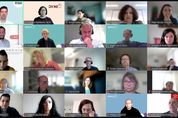 Iliustracija iš nuotolinio susitikimo / Photo of online meeting
