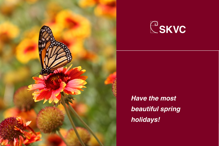 postcard with butterfly and flowers
