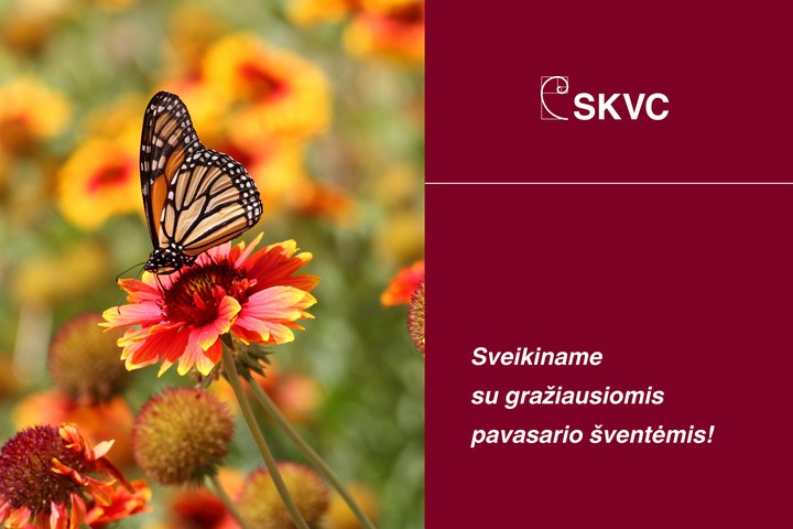 atvirukas nuotrauka, kurioje drugelis ant gėlių