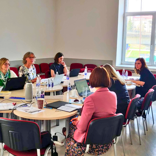 Illustration. Partners meeting in Vilnius, SKVC office (ANOTHER ANGLE)