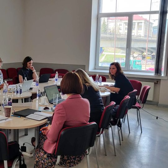 Iliustracija. Partnerių susitikimas Vilniuje, SKVC patalpose