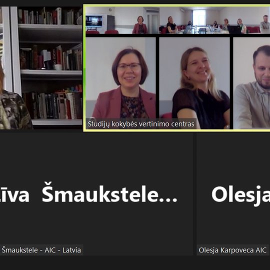 Iliustracija. Partnerių susitikimas Vilniuje, hibridinis susitikimas