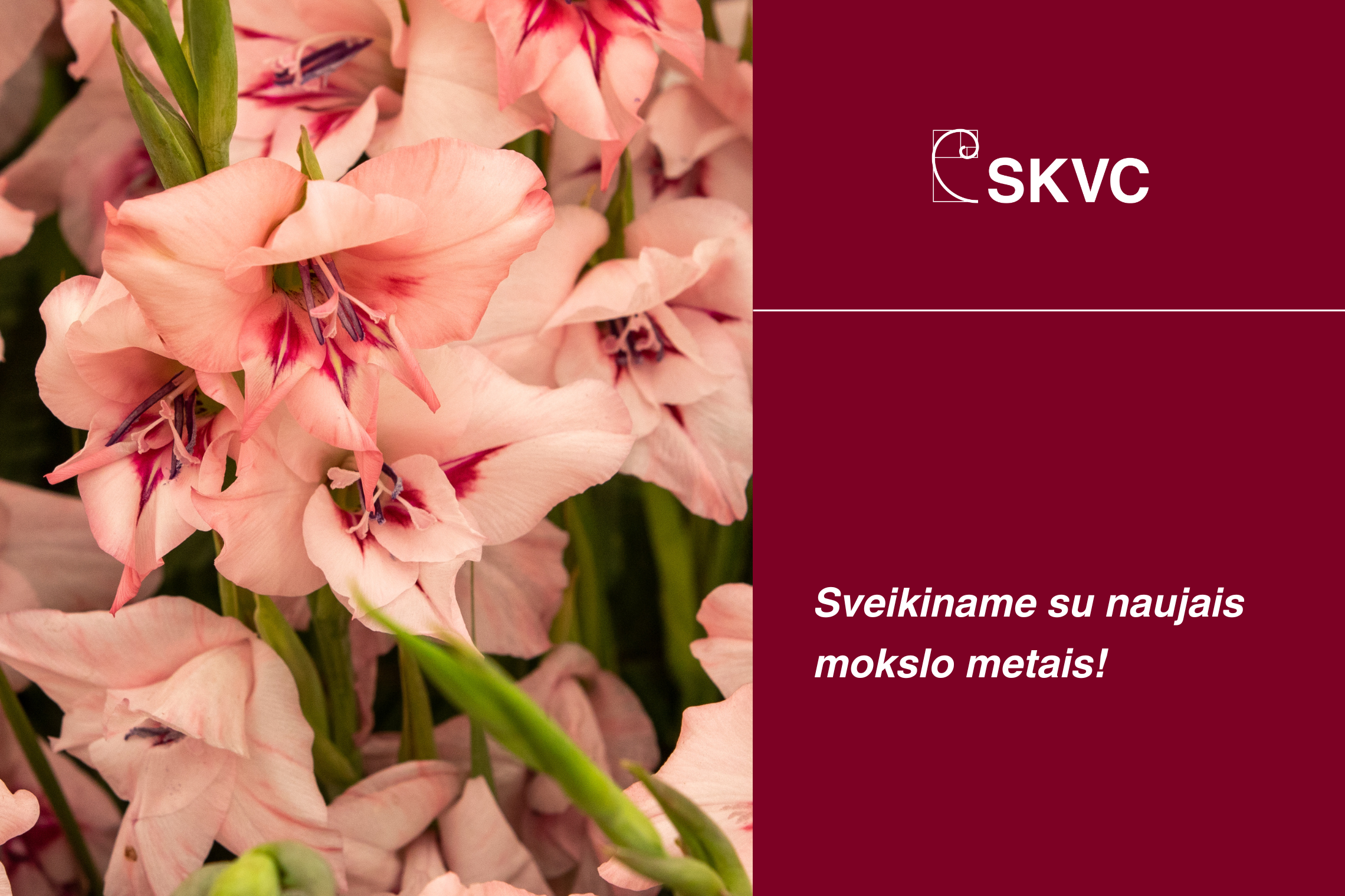 Sveikinimas su naujais mokslo metais! Gėlių iliustracija